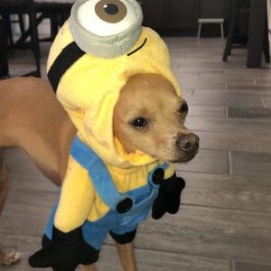 Meet your Posher, Jasmine